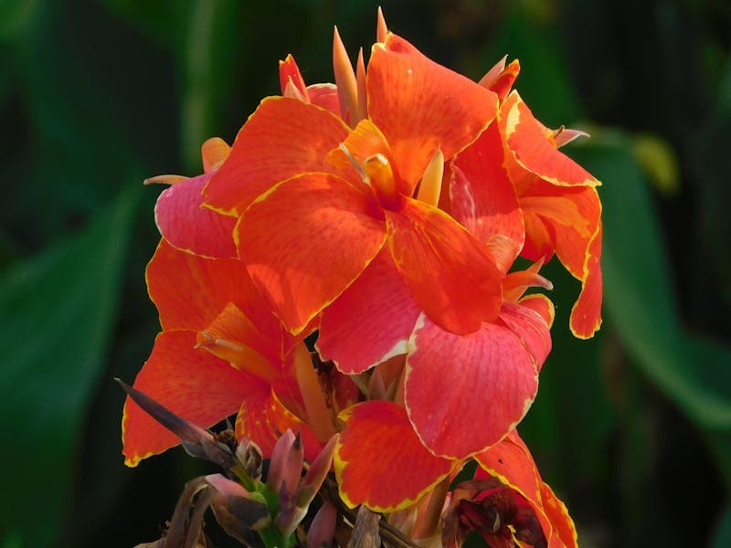 Inside Honey & Bloom Wax Studio